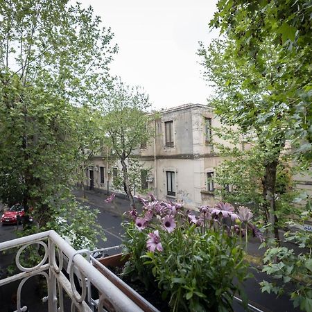 B&B Morosoli Palace Catania-Fontanarossai nemzetközi repülőtér Kültér fotó